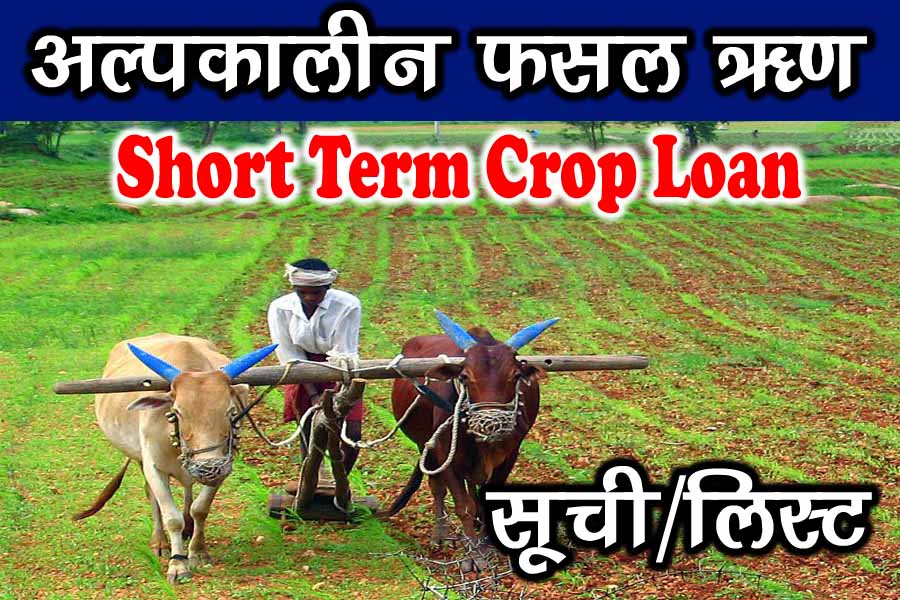 अल्पकालीन फसली ऋण सूचना कैसे देखें - Short Term Crop Loan Rajasthan